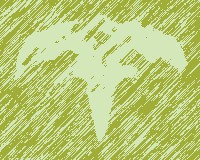 tri13.jpg (19128 bytes)